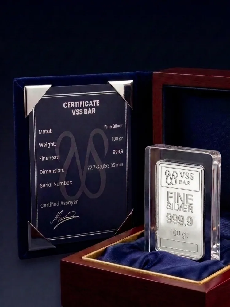 VSS Silver Bar 100 gram